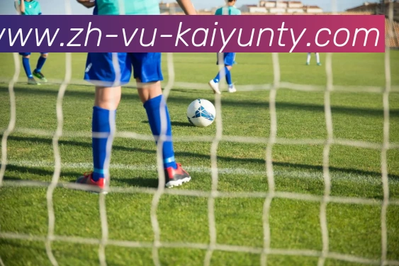 ky开云APP 体育赛事宣传图